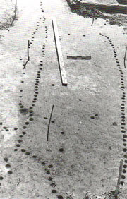 Следы частоколов, некогда разграничивавших средневековые вологодские усадьбы, выявленные в 1995 году И. П. Кукушкиным в раскопе № 15