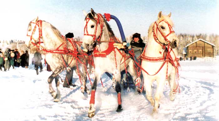 Русская тройка на празднике, посвященном встрече нового тысячелетия. Фотография 13 января 2001 года